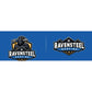 Ravensteel Roofing custom mascot logo design
